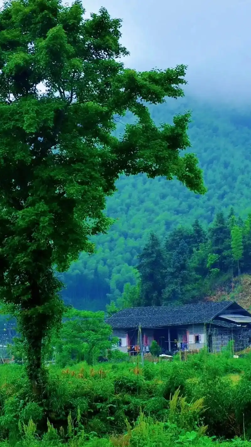 若能我了无牵挂, 从此归隐天涯. 深山老屋为家, 远离尘世繁 - 抖音