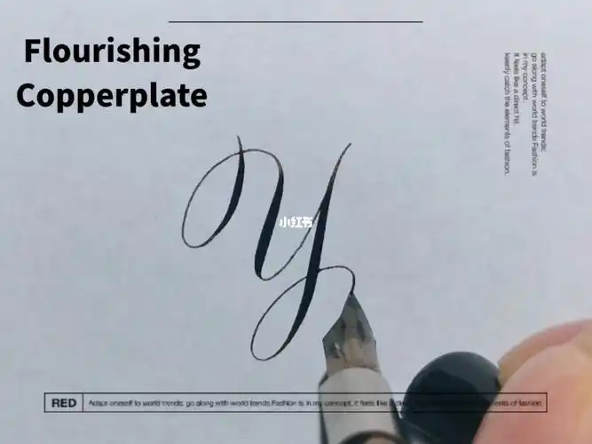 英文书法  #手写英文  #英文花体字  #拉花铜板体  #每日手写  #蔚哪