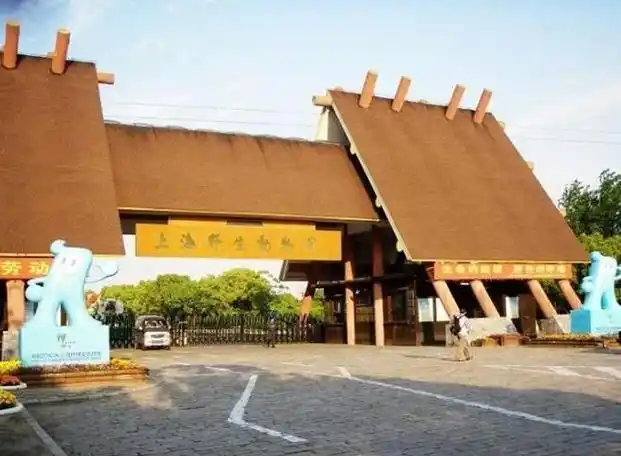 上海热门旅游景点上海野生动物园旅游攻略低音号语音导游