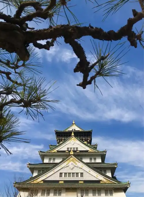 2019.2月日本大阪,京都自由行