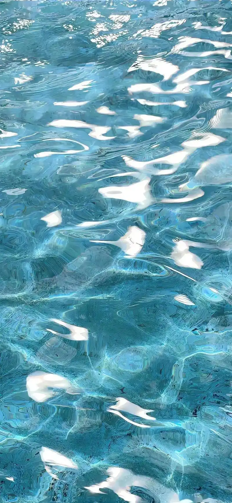 流水生财90.有没有喜水的北鼻,快来保存壁纸吧#好图分享 # - 抖音