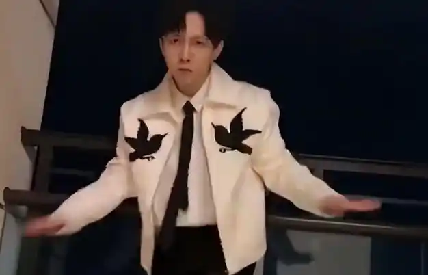 就是那个模仿林俊杰演唱会舞蹈,但又秒删的那个.谁是胡夏呢?