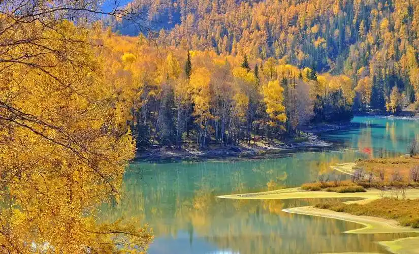 北疆金秋行摄之旅(三) 一定要在秋天去一次喀纳斯