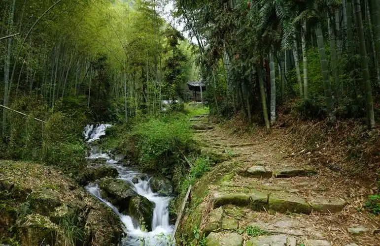 有竹林有瀑布有溪流萧山这个神仙景点美呆了