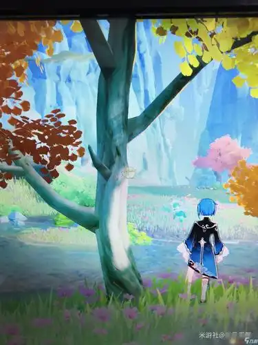 《原神》树木辨别技巧教学 全树木辨别图文攻略_原神