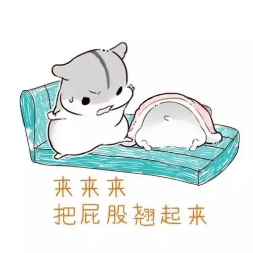 来来来把屁股翘起来床上仓鼠表情包