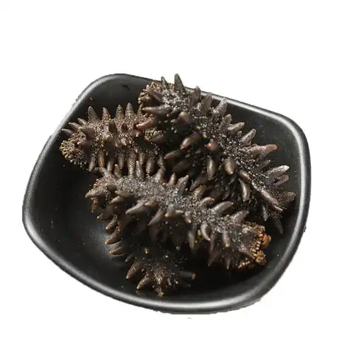 北海道大连红参俄罗斯散装六排深海海参关东拉缸海参