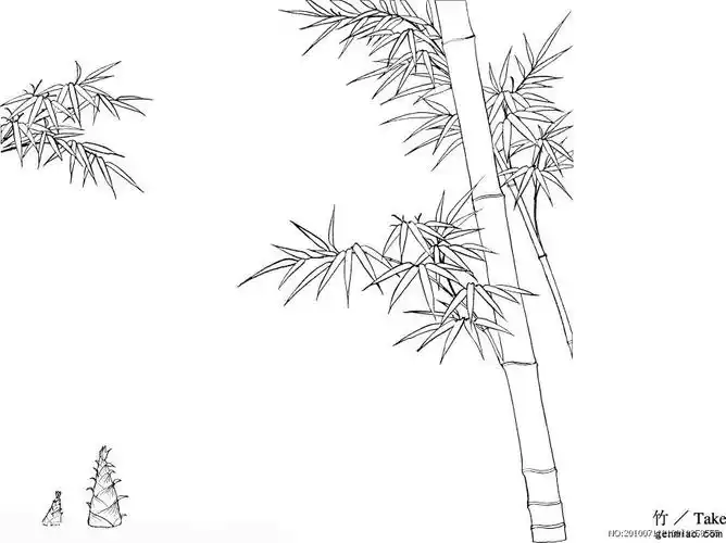 竹子俯视图简笔画 (第9页)