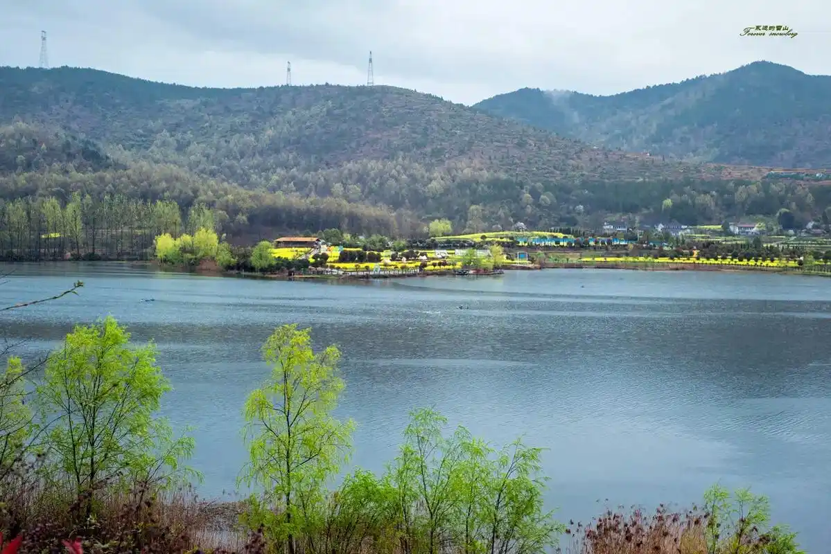 春日捕捉行动 汉中陈村风光 汉中陈村是今年油菜花节的主会场 - 兑趑