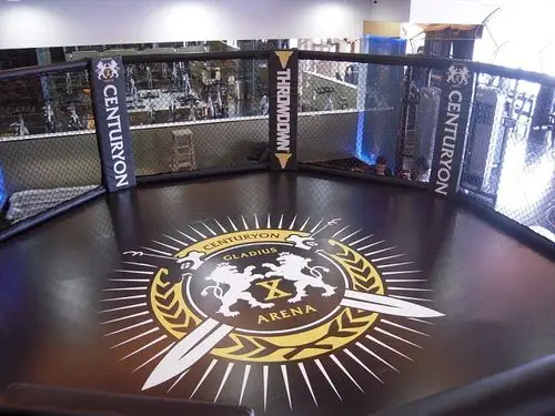 八角笼,格斗笼,mma八角笼,ufc八角笼定制厂家仕尔道