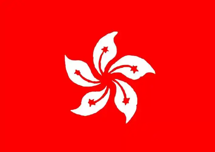 《香港特别行政区区旗图》