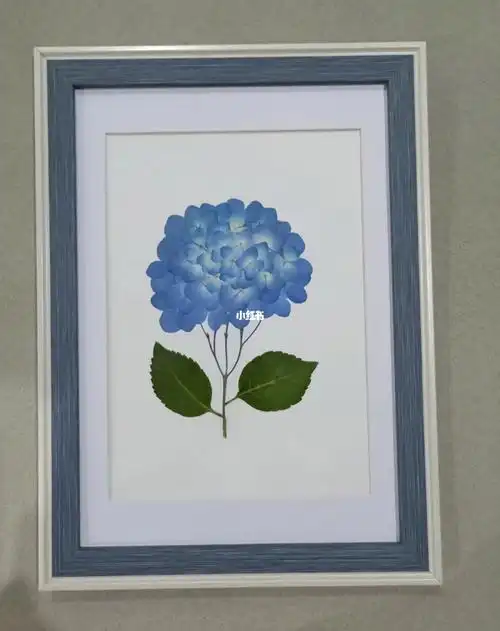 相框27×39厘米#押花  #干花  #干花制作  #压花 #押花手作  #押花画