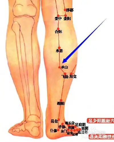 腿部经络堵塞,身体会有5个感觉,按摩一次腿部,给你八大好处,呵护你的"
