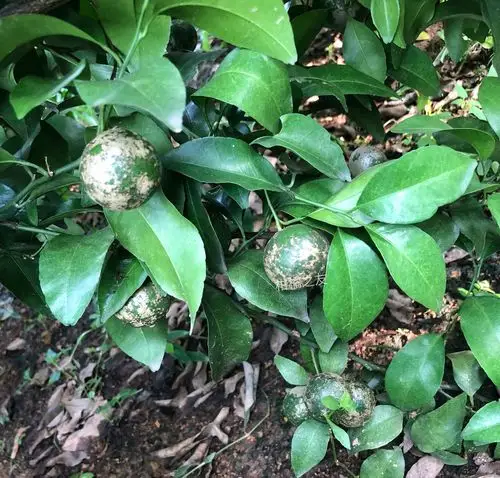 如何预防?_手机搜狐网