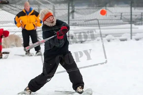 skips pics: recently added galleries and collections