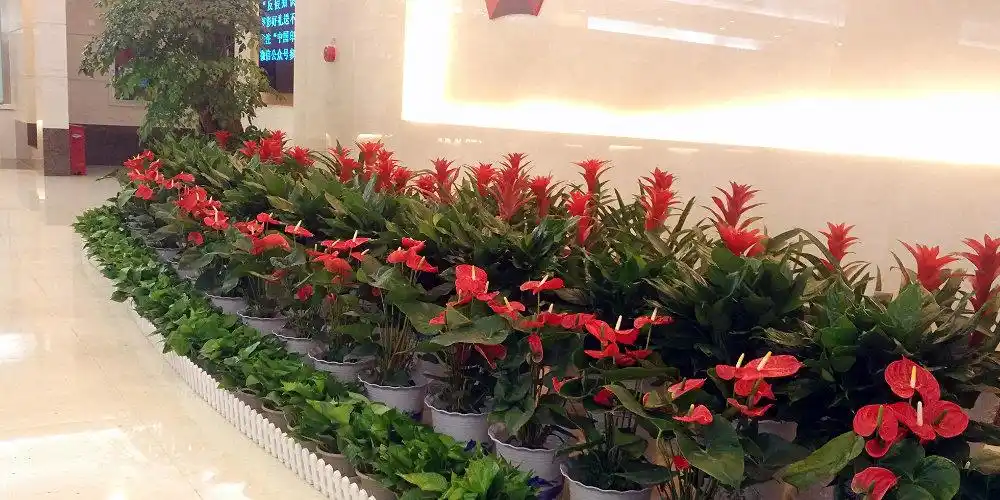 万卉源鲜花绿植服务中心