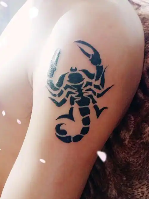 蝎子_纹身图案手稿图片_刘拥亮的纹身作品集