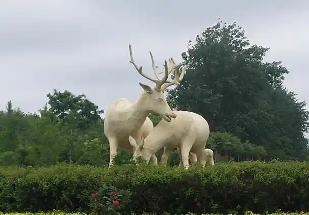 江苏省盐城市大丰中华麋鹿园景区
