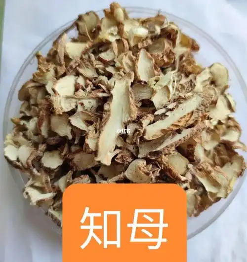 知母味苦,甘,而且性比较寒,归肺,胃,肾经,功效与作用具体如下:1,知母