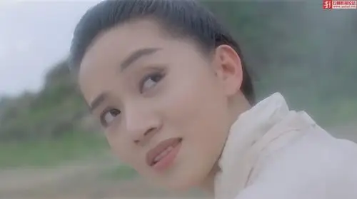 【高清hd1080p修复】[香港][1993][新仙鹤神针][国语/ts/1.