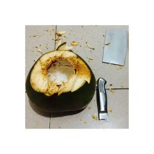 本来想用菜刀 把椰子砍开 取椰肉  结果菜刀砍断了 椰肉还是取不到