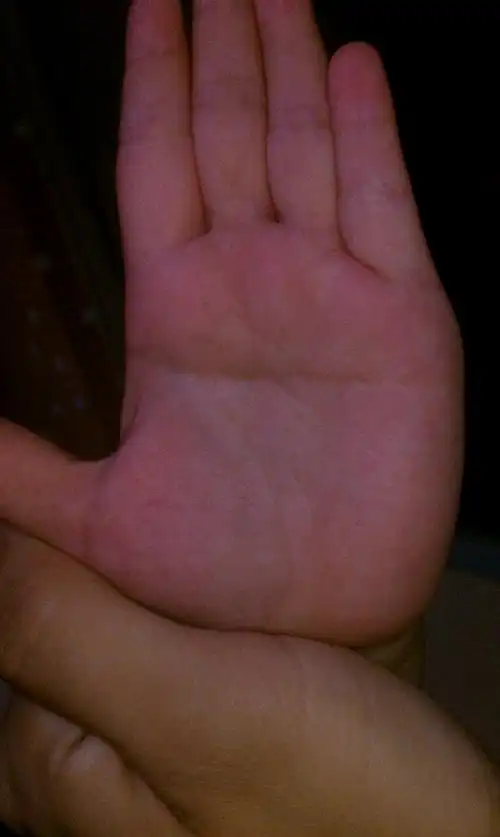 大师,帮忙看看我和两个双胞胎儿子的手相