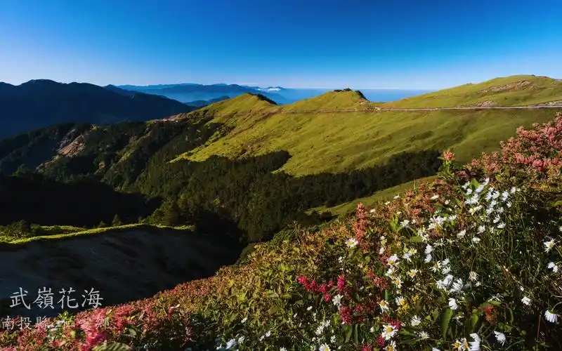 taiwan _ 8k 看见台湾之美风景_哔哩哔哩_bilibili