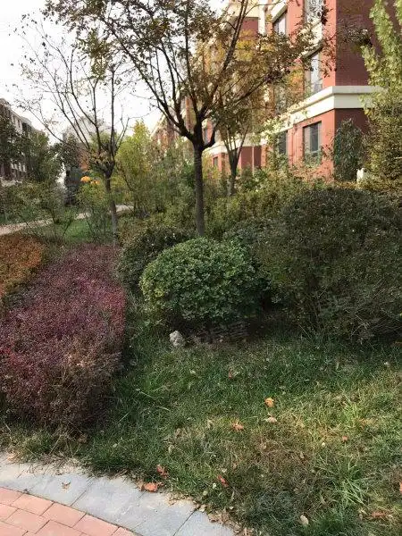 白鹭湾花园,潮阳大道-天津白鹭湾花园二手房,租房,房价-天津安居客