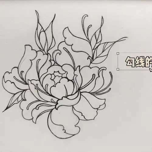 手绘  #简笔画教程  #传统文化  #中国传统图案纹样  #牡丹  #鲜花