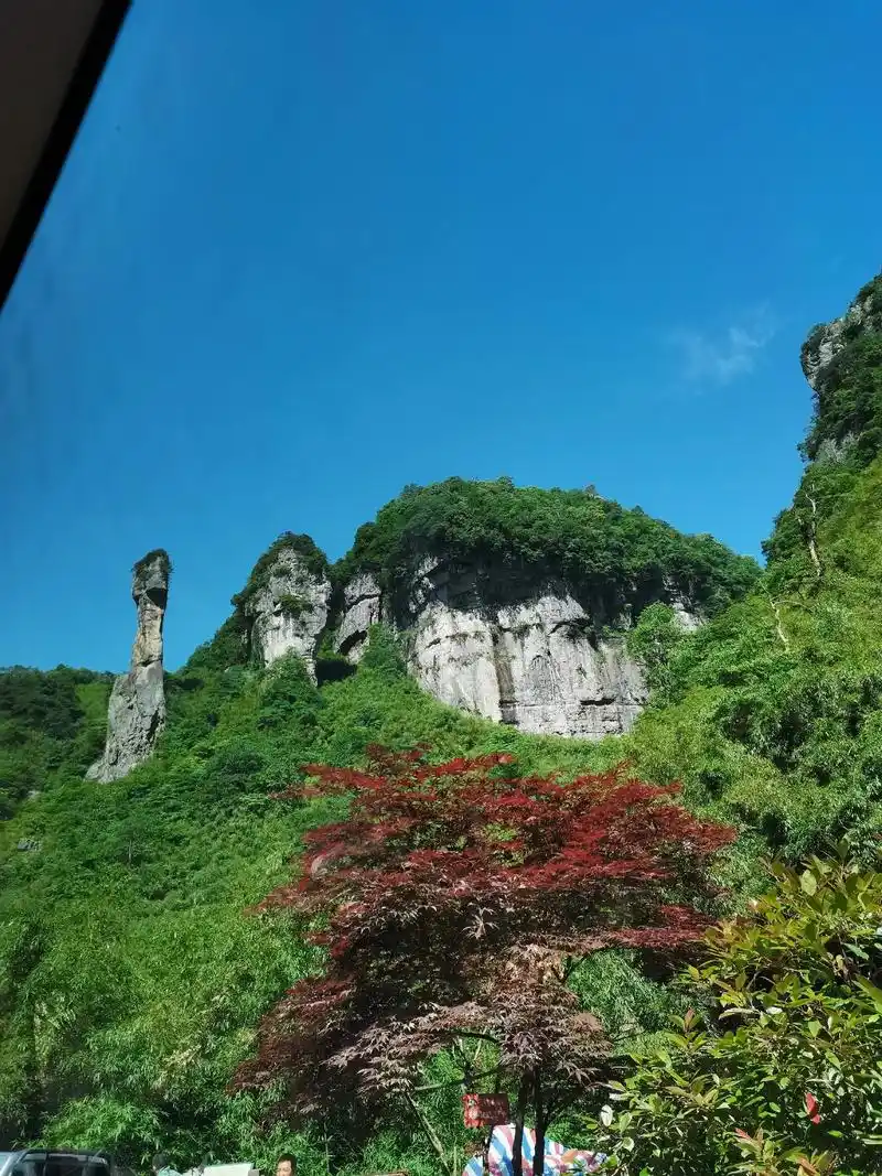 只有照片能记录这份珍贵金佛山南坡风景