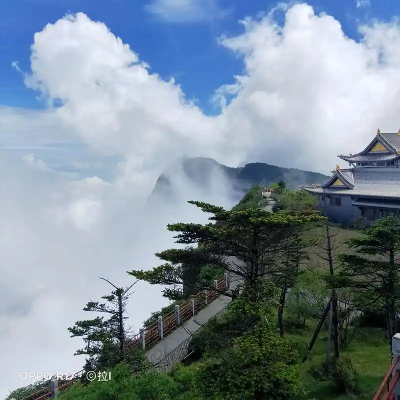 唯美天上人间 - 抖音