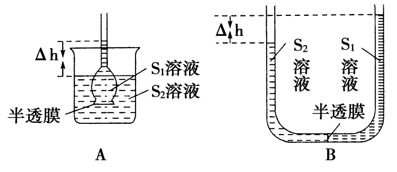2018年高考一轮苏教版生物 必修1 第2单元 第4讲 物质的跨膜运输