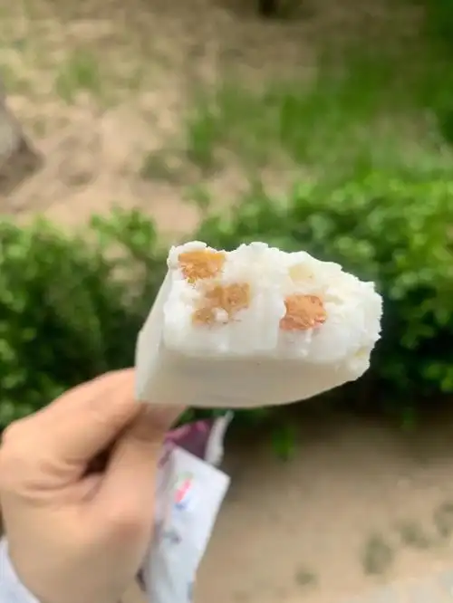 便宜又好吃的雪糕伊利奶提子