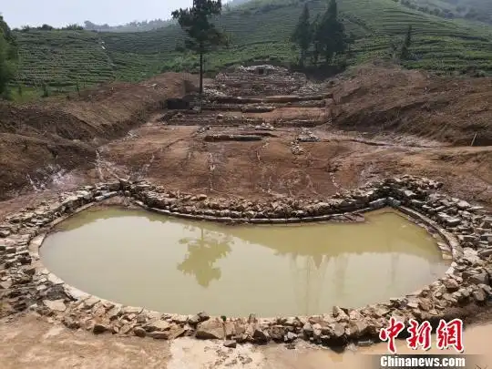 明朝阁老徐阶之墓勘测结束 墓址旁水塘为"泮池"