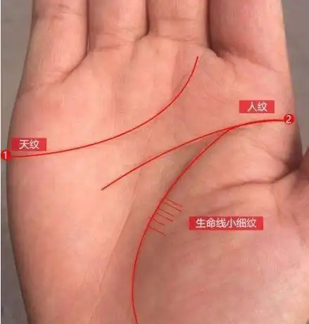 一个人可以活到多少岁生命线长短可以看寿命吗