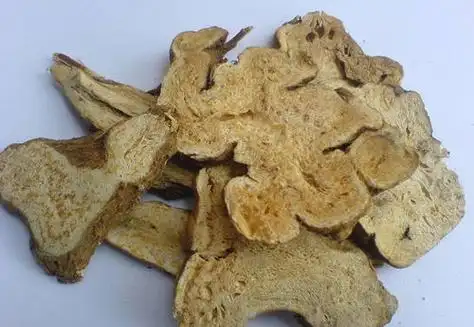 白术白术的功效