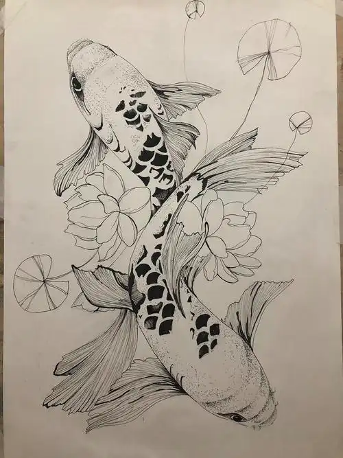 锦鲤|插画|绘本|z234547632 - 临摹作品 - 站酷 (zcool)