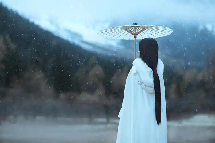 "何时杖尔看南雪,我与梅花两白头"最浪漫的事就是陪你慢慢老去