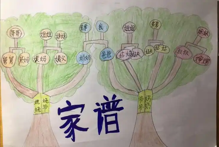 有的同学则以漫画的形式画出了全家人的形象,俏皮可爱的家谱你形式你