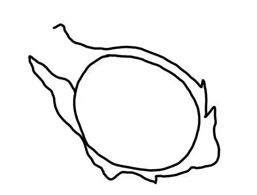 切开的红心火龙果简笔画