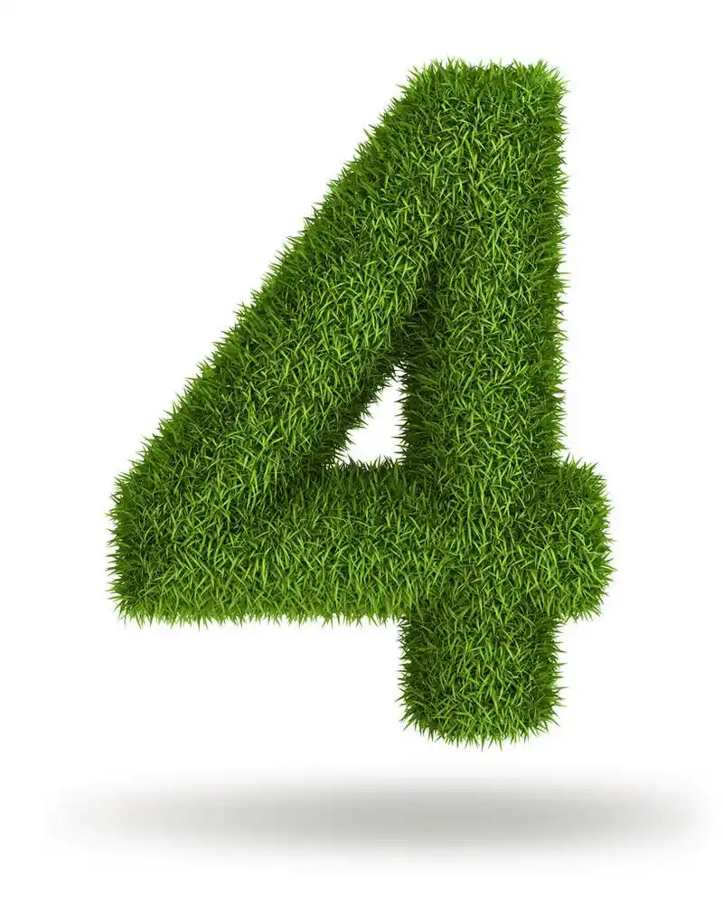 天然草数 4,自然 3d 孤立的照片现实草编号 4