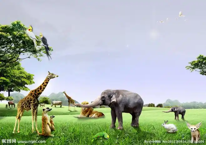 野生动物园源文件风景psd分层素材源文件图库昵图网nipiccom