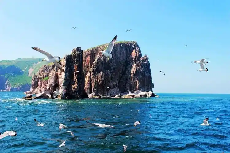 祖国风光(1517)烟台万鸟岛