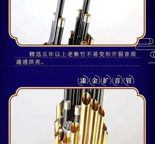 14苗全黑镶箍笙 d调【图片 价格 品牌 报价】-京东