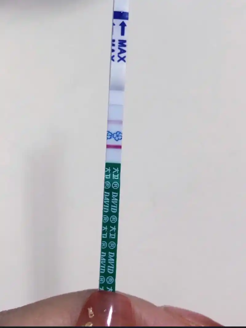 验孕试纸一深一浅,不知道到底有没有 备孕5个月了,每个月都是2号来大