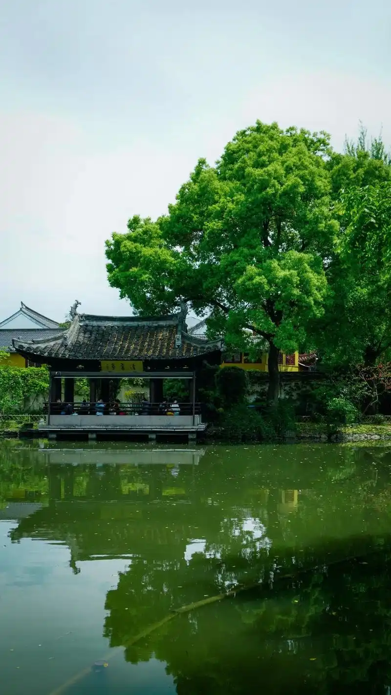 浙江绍兴|沈园攻略.98位置:绍兴市越城区鲁迅中路318号  - 抖音