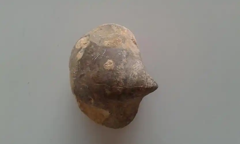 求教各位老师第一是狼牙吗,二是化石吗