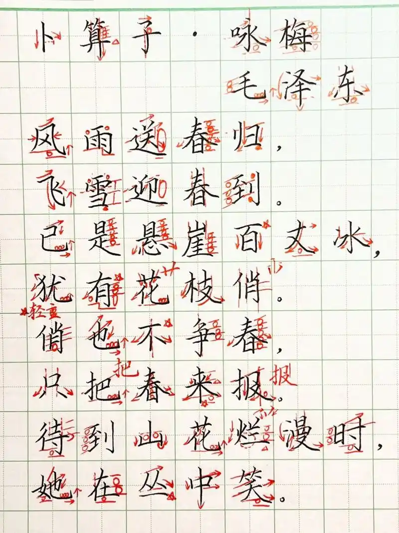 我的乱涂乱画——《卜算子·咏梅》 99应粉丝要求今天写《卜算子