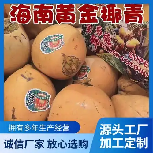 ll助农海南三亚黄金椰奶椰子新鲜水果红椰9个装包邮现摘带皮送开