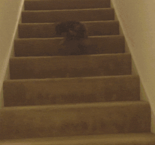 330_309gif 动态图 动图